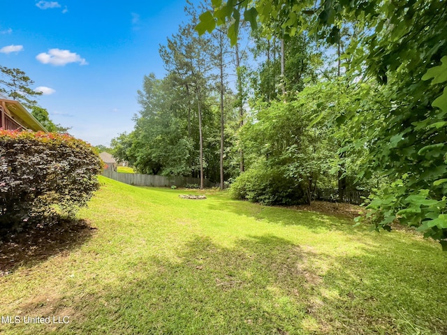 66 Auburn Pl, Hattiesburg, MS 39402 - view of yard