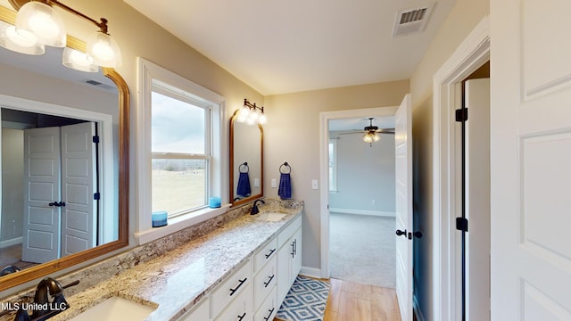 bathroom with wood-type flooring and vanity