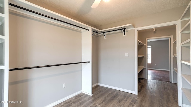 8 Skeeter Ln, Carriere, MS 39426 - spacious closet with dark wood-style floors and ceiling fan