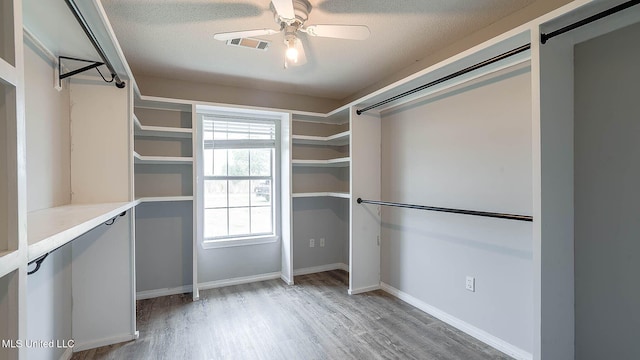 8 Skeeter Ln, Carriere, MS 39426 - spacious closet with wood finished floors and ceiling fan