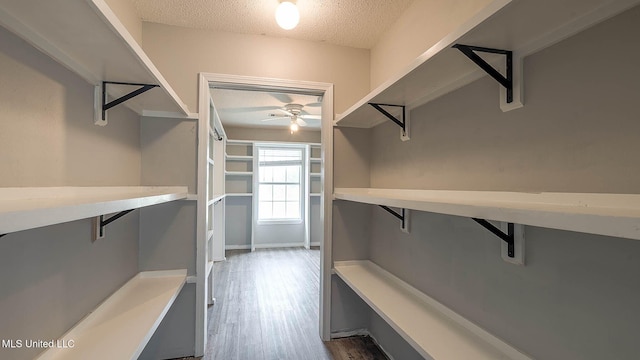 8 Skeeter Ln, Carriere, MS 39426 - walk in closet featuring a ceiling fan and dark wood-style flooring