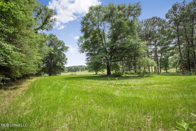 view of nature