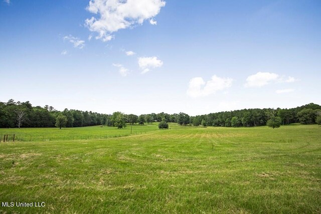 view of yard with a rural view