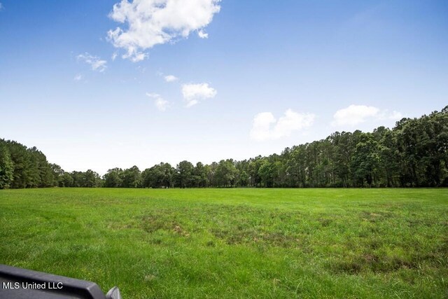 view of local wilderness featuring a rural view