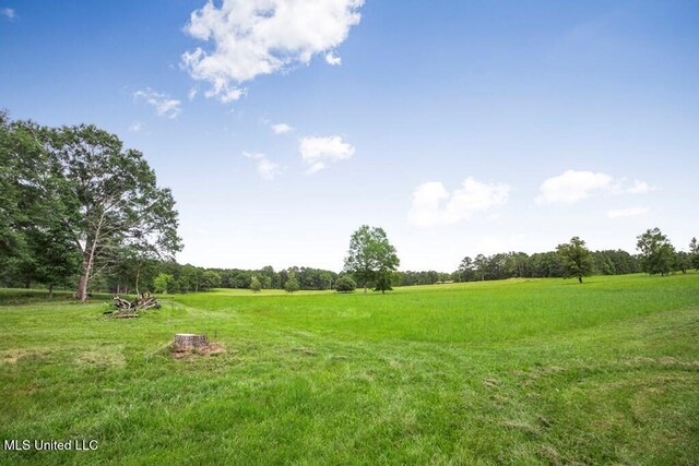 view of yard featuring a rural view