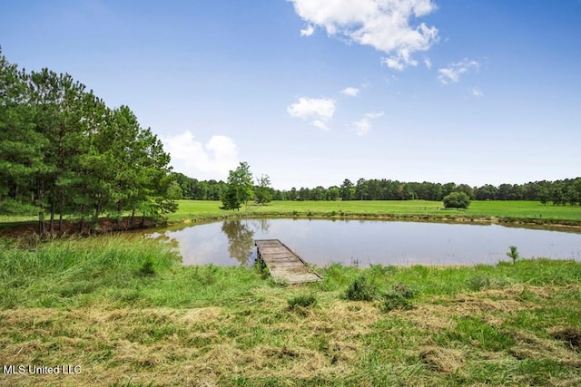 water view with a dock