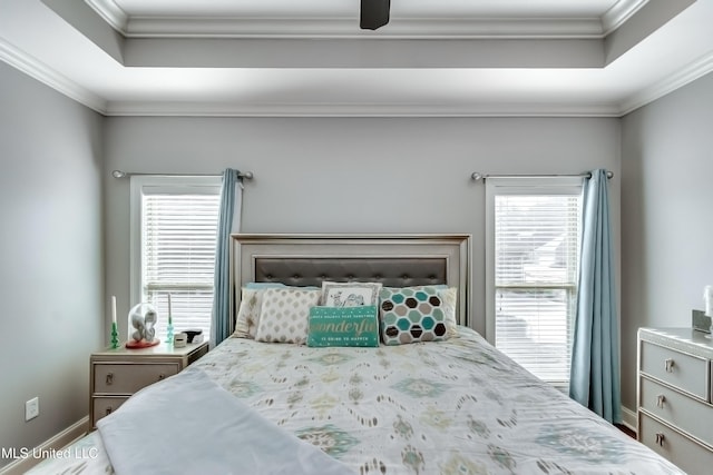 bedroom featuring a raised ceiling and crown molding