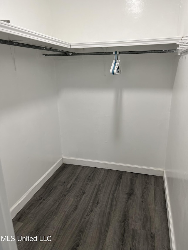 spacious closet featuring dark hardwood / wood-style flooring