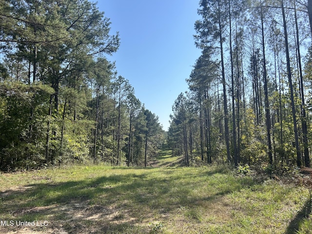 Rials Rd, Georgetown MS 39078 LAND for sale