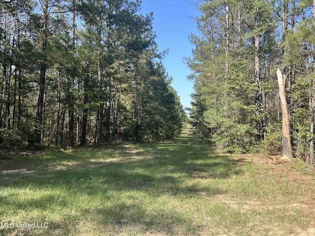 Listing photo 3 for Rials Rd, Georgetown MS 39078