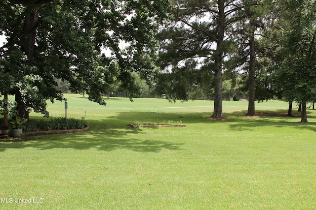 709 Oak Trl, Canton, MS 39046 - view of home's community featuring a yard