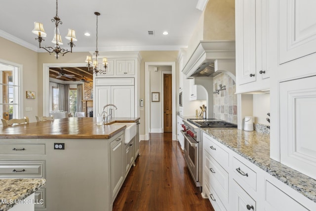 kitchen featuring high end appliances, premium range hood, a sink, dark wood-type flooring, and white cabinets