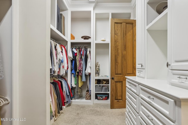 walk in closet with carpet flooring