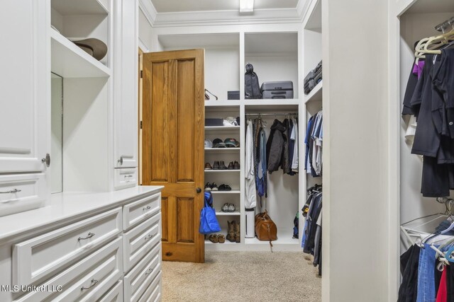 walk in closet featuring carpet flooring