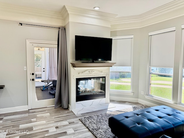 living room featuring light hardwood / wood-style floors, crown molding, and a premium fireplace