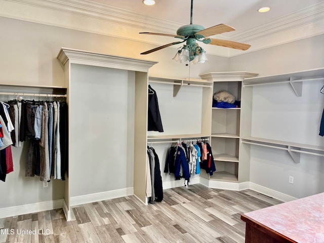 walk in closet featuring ceiling fan and light hardwood / wood-style floors