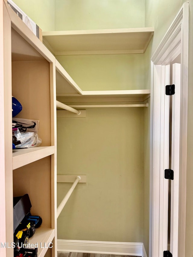 view of walk in closet