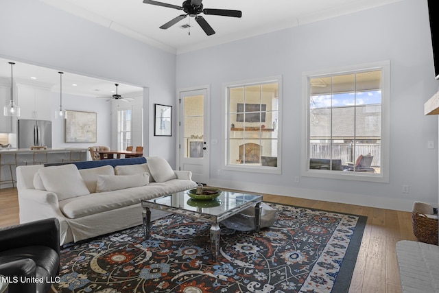 living room featuring ceiling fan, ornamental molding, and hardwood / wood-style floors