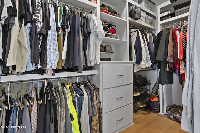 spacious closet with hardwood / wood-style flooring