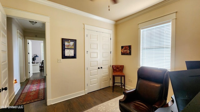 office featuring dark hardwood / wood-style flooring, ceiling fan, and crown molding