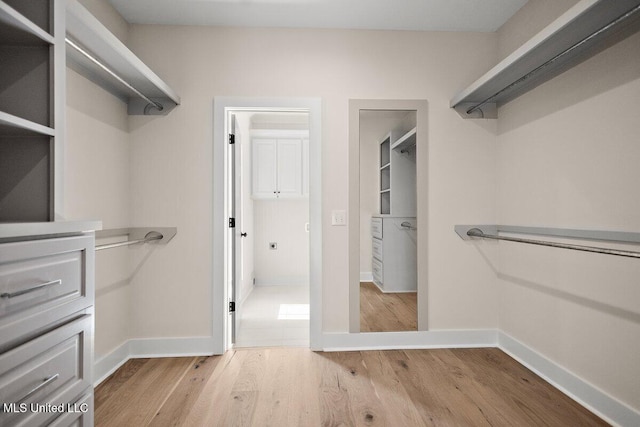 spacious closet with light wood-type flooring