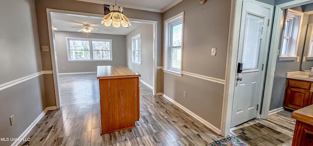 interior space featuring ceiling fan, light hardwood / wood-style flooring, and crown molding