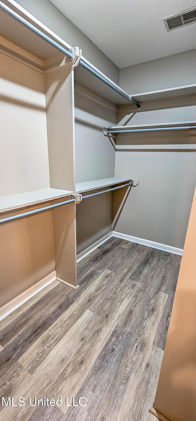 spacious closet with wood-type flooring