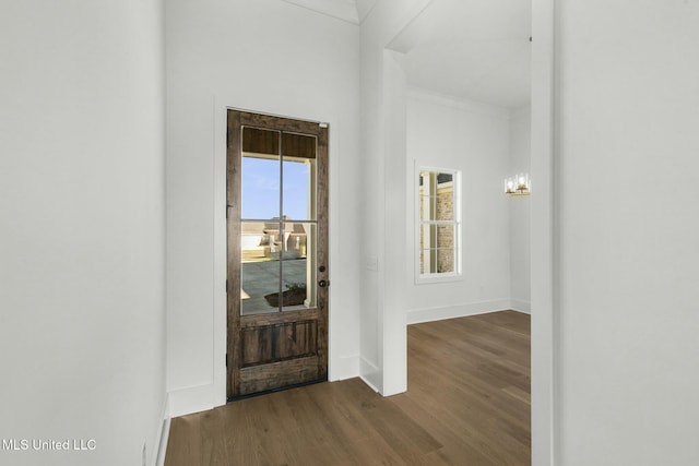 foyer featuring dark wood-type flooring