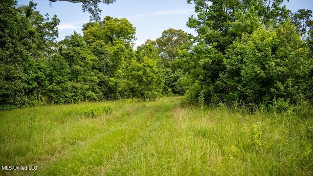 300 W Mount Pleasant Rd, Zachary, LA 70791