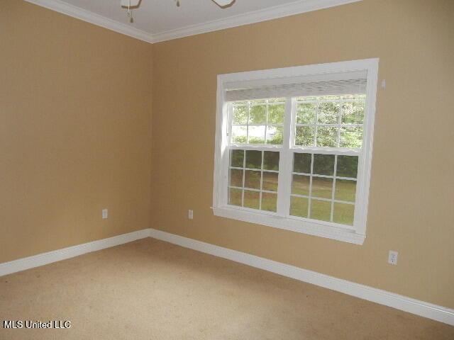 8 Auburn Ln, Hattiesburg, MS 39401 - unfurnished room featuring crown molding, baseboards, and light carpet