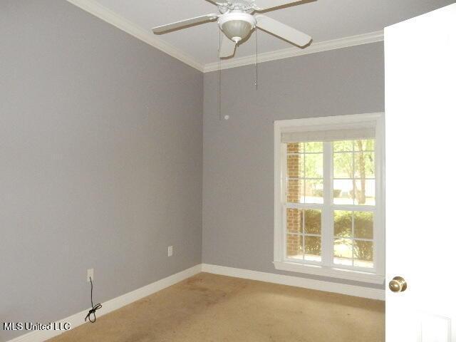 8 Auburn Ln, Hattiesburg, MS 39401 - spare room with ornamental molding, light carpet, a ceiling fan, and baseboards