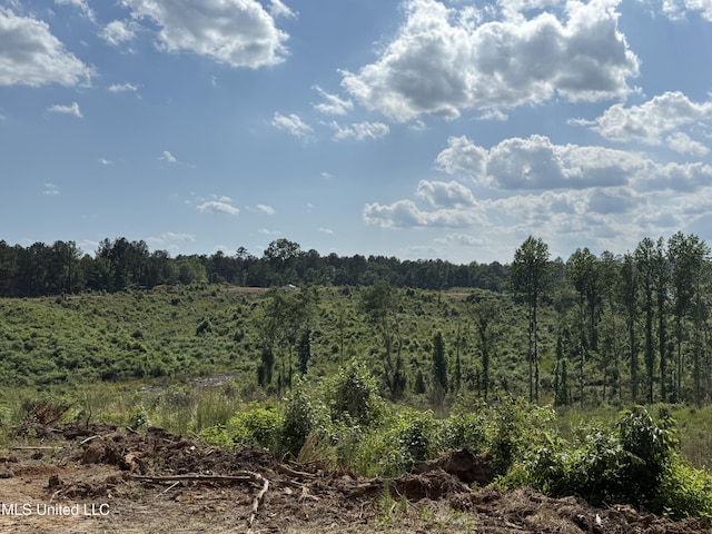 2249 Attala Rd Unit 3107, West, MS 39192