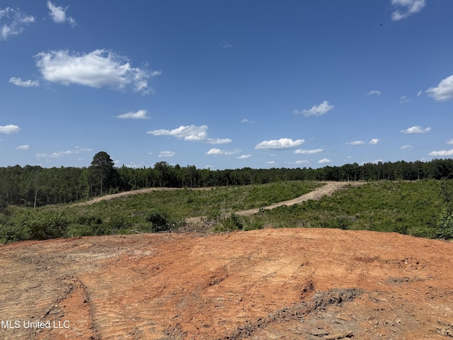 2249 Attala Rd Unit 3107, West, MS 39192