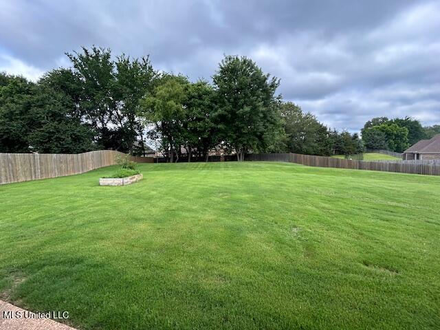 3717 Beech Tree Cv, Southaven, MS 38672 - view of yard