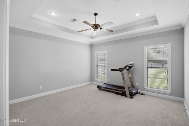 exercise room with crown molding, a raised ceiling, and a healthy amount of sunlight