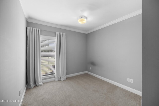 carpeted spare room with crown molding and baseboards