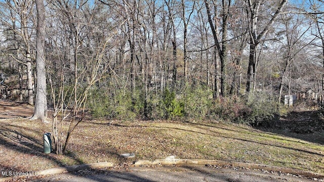 Mauri Cv, Clinton MS, 39056 land for sale