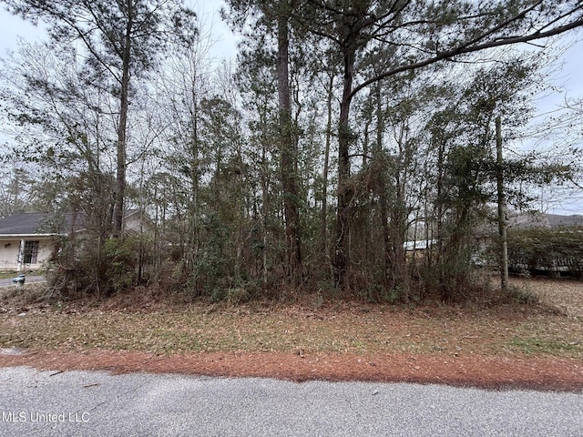 10617 Linohau Way, Diamondhead MS, 39525 land for sale