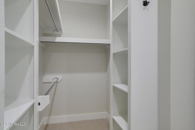 spacious closet with carpet