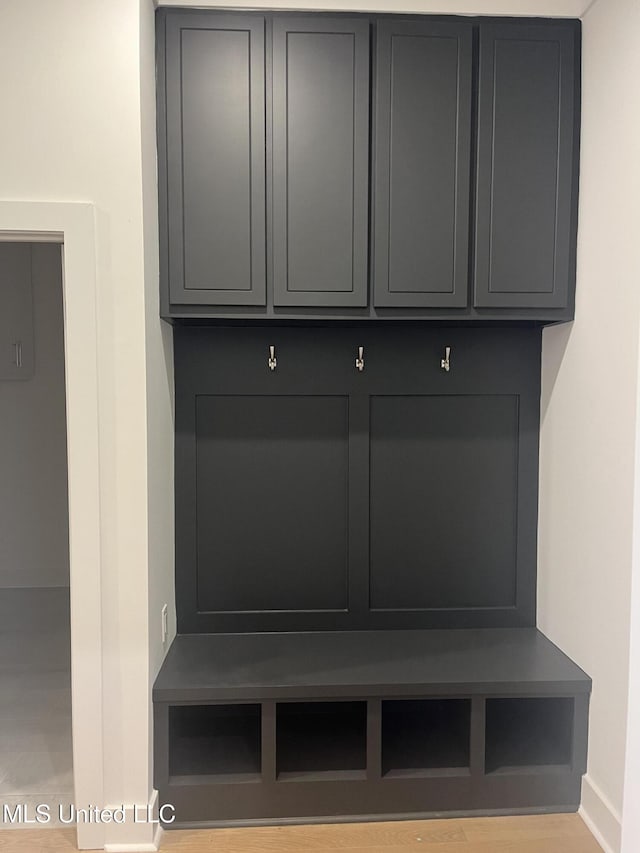 mudroom with hardwood / wood-style floors