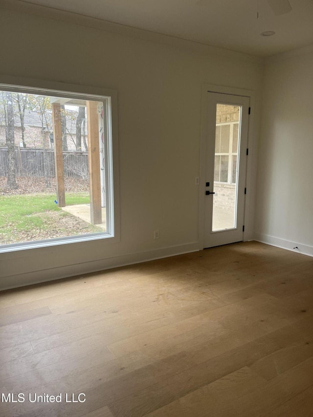 spare room featuring ceiling fan and light hardwood / wood-style flooring