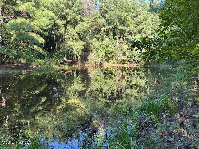 Hilt Fornea Rd, Poplarville MS, 39470 land for sale