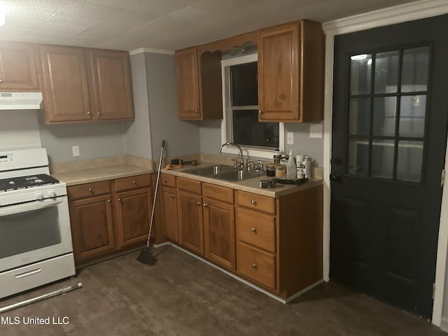 kitchen with sink, gas range gas stove, and crown molding