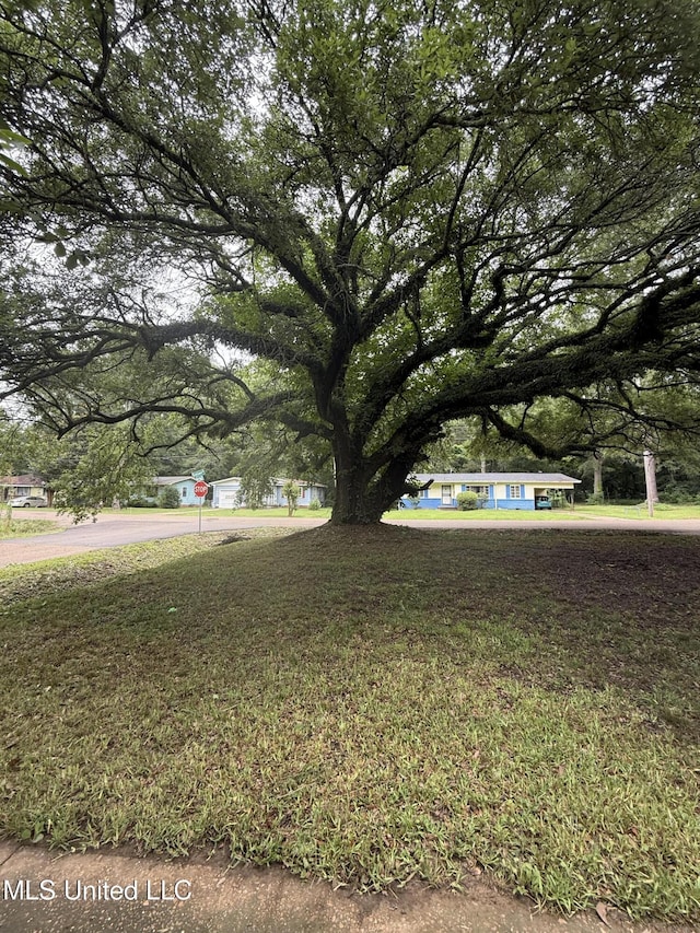 4189 Del Rosa Dr, Jackson, MS 39206 - view of grassy yard