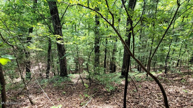 0 Rowsey Rd, Water Valley, MS 38965