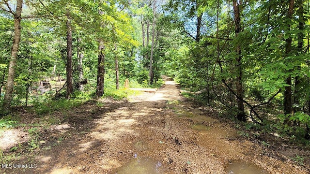 0 Rowsey Rd, Water Valley, MS 38965