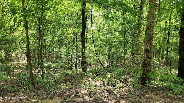 0 Rowsey Rd, Water Valley, MS 38965