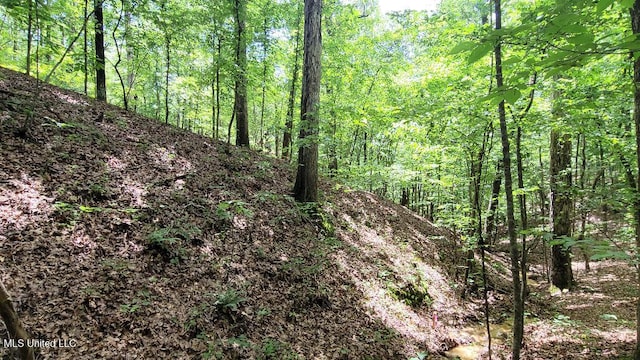 0 Rowsey Rd, Water Valley, MS 38965