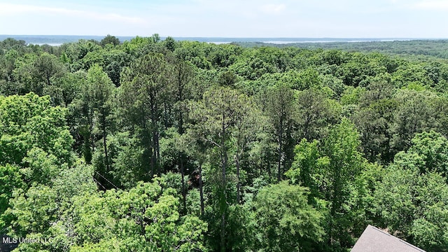 0 Rowsey Rd, Water Valley, MS 38965
