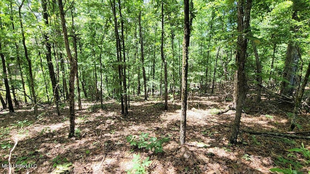 0 Rowsey Rd, Water Valley, MS 38965